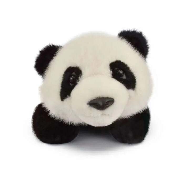 Bao-Le-Panda-42-cm-Histoire-dOurs Affaire À Saisir Bao Le Panda 42 cm Histoire d'Ours