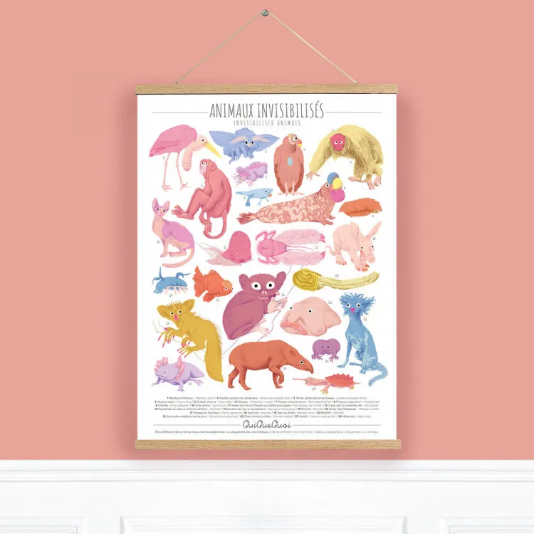 Affiche-QuiQueQuoi-quotAnimaux-Invisibilisésquot---50x70-cm-11011 Haute Qualité Affiche QuiQueQuoi "Animaux Invisibilisés" - 50x70 cm