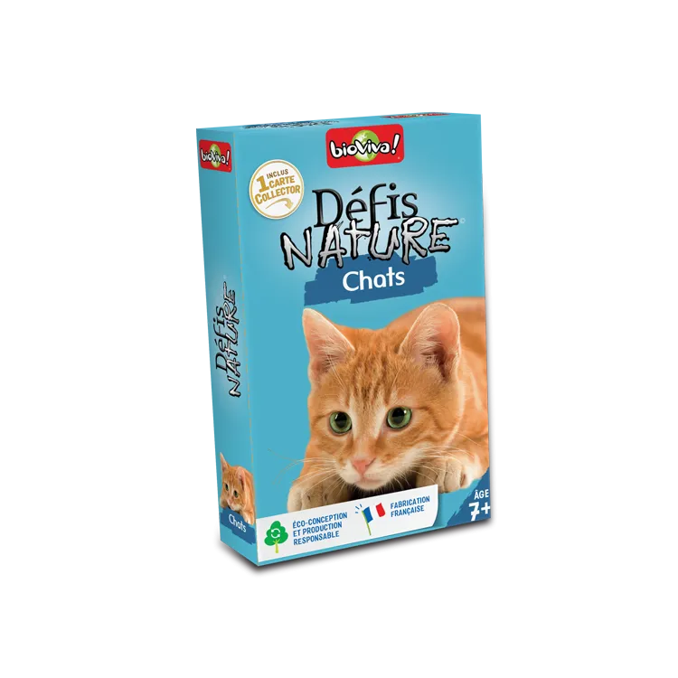 Défis-Nature---Chats-9267 Artisanat Défis Nature - Chats