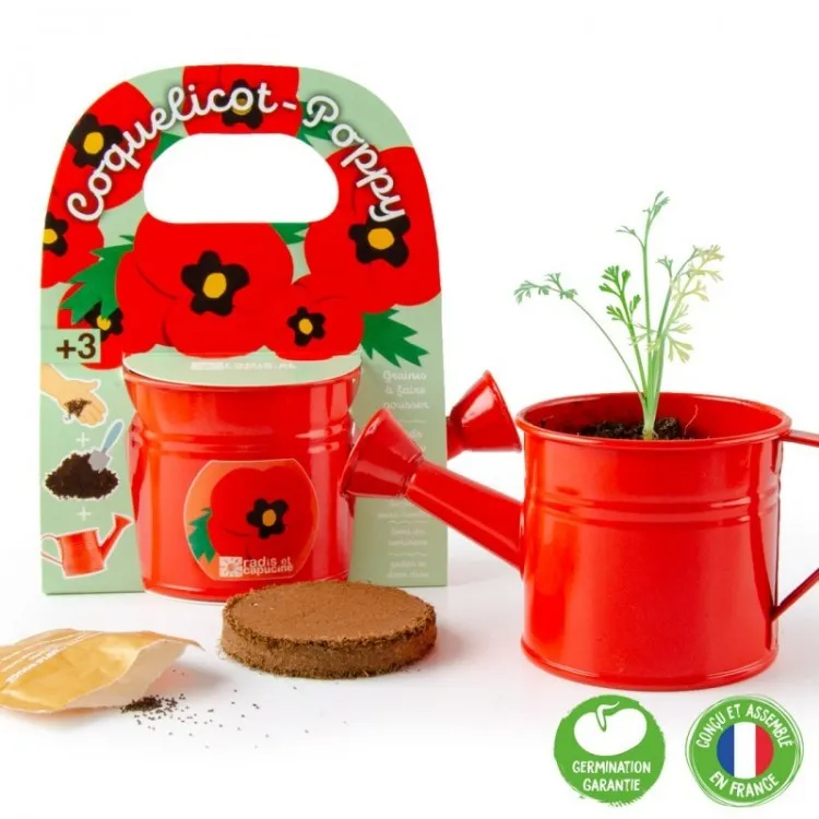 Mini-arrosoir-rouge-avec-graines-de-coquelicot-7381 Authentique Mini arrosoir rouge avec graines de coquelicot