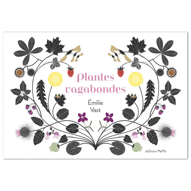 Plantes-vagabondes-11559 Plantes vagabondes Meilleur Choix