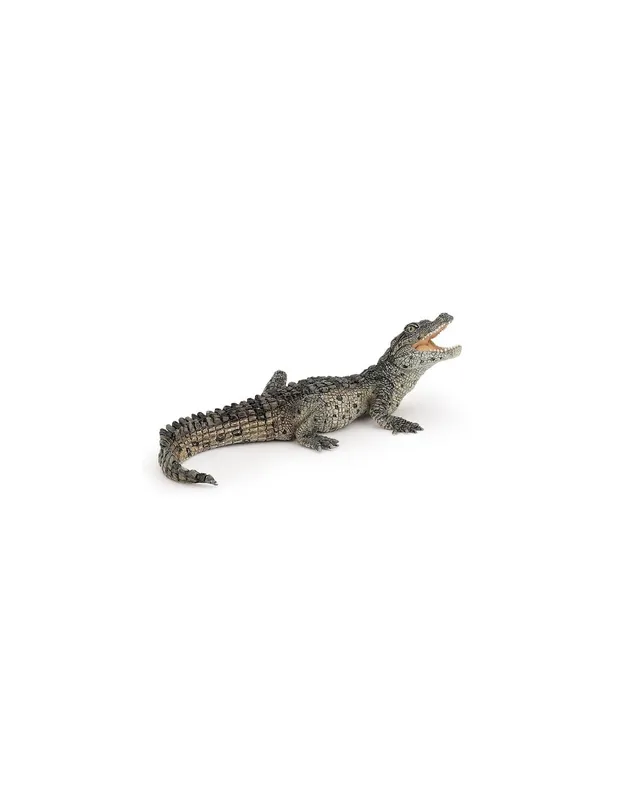 Figurine-bébé-crocodile---Papo-16993 Figurine bébé crocodile - Papo Gros Lot