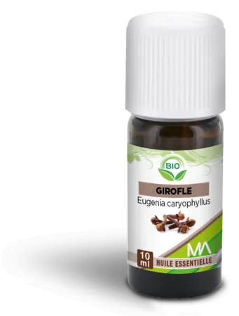 Achat Immédiat CLOU DE GIROFLE BIO MA, FLACON COMPTE-GOUTTES 10ML
