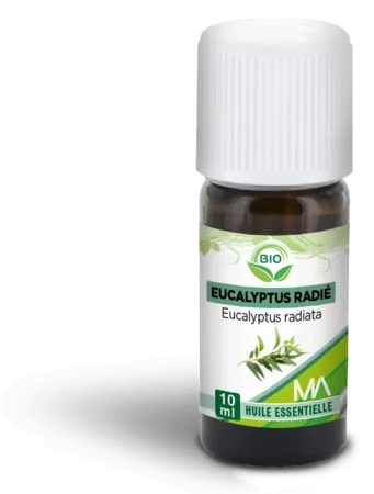 EUCALYPTUS-RADIE-BIO-MA-FLACON-COMPTE-GOUTTES-10ML EUCALYPTUS RADIE BIO MA, FLACON COMPTE-GOUTTES 10ML Achetez Aujourd’hui