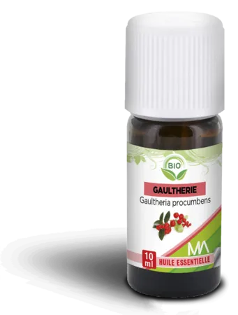 GAULTHERIE-BIO-MA-FLACON-COMPTE-GOUTTES-10ML GAULTHERIE BIO MA, FLACON COMPTE-GOUTTES 10ML Achetez Aujourd’hui