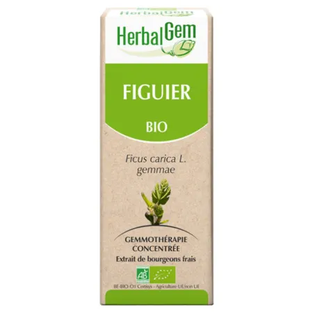 HerbalgGem-Bio-Figuier-30-ml HerbalgGem Bio Figuier, 30 ml Achetez Aujourd’hui