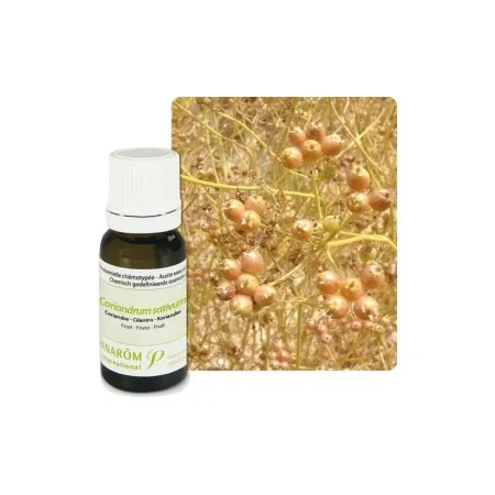 Huile-essentielle-Coriandre---10-ml Commande En Gros Huile essentielle Coriandre - 10 ml