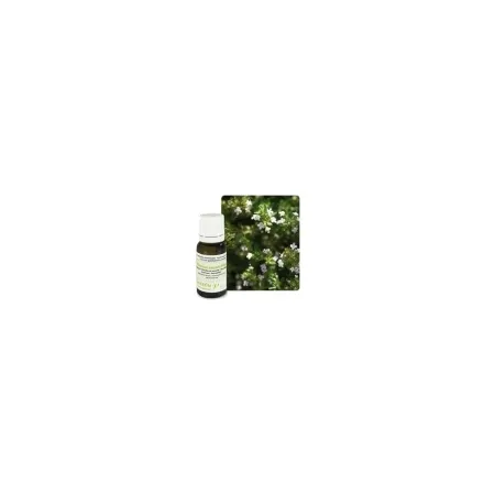 Huile-essentielle-Thym-à-feuilles-de-sarriette---10-ml Huile essentielle Thym à feuilles de sarriette - 10 ml Prix Promo