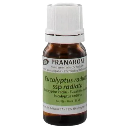 PRANAROM-HECT-BIO-EUCALYPTUS-RADIE-FEUILLE-10ML PRANAROM HECT BIO EUCALYPTUS RADIE FEUILLE 10ML Seulement Aujourd’hui